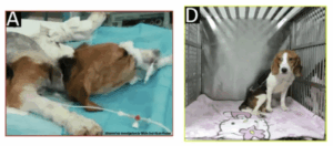 us-taxpayer-dollars-still-supporting-103881310