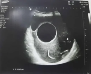 vets-issuing-warning-pet-owners-103958759