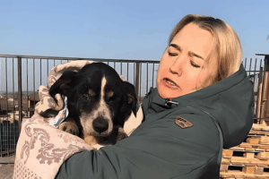 0_DEAD-DOG-DIGS-OUT-OF-GRAVE-AND-FINDS-OWNERS