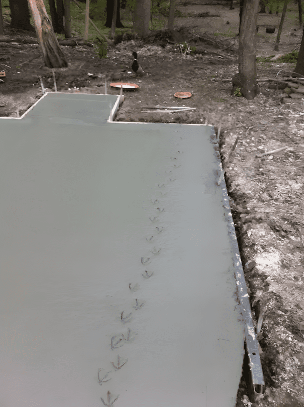 Ezek az állatok megmutatják, mit jelent az igazi lázadás 1477 12 lazado allat akiket nem erdekelnek a hulye szabalyaid11.jpg