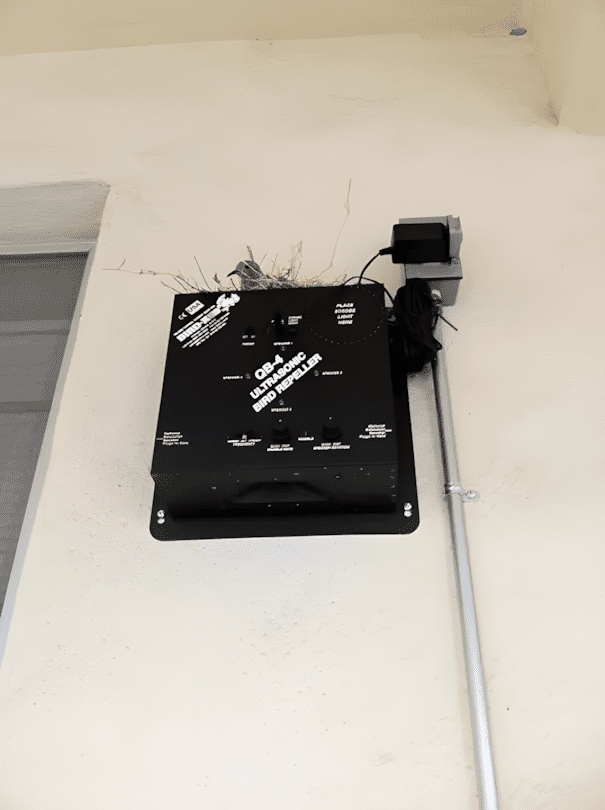 Ezek az állatok megmutatják, mit jelent az igazi lázadás 1468 12 lazado allat akiket nem erdekelnek a hulye szabalyaid2.jpg