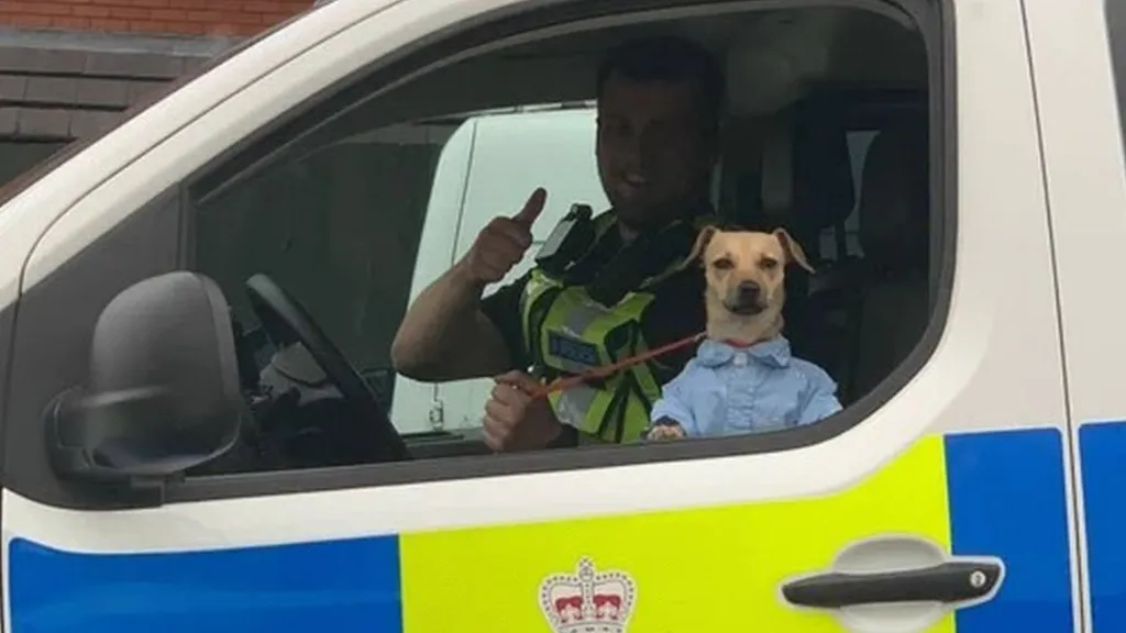 130862419_mediaitem130859919