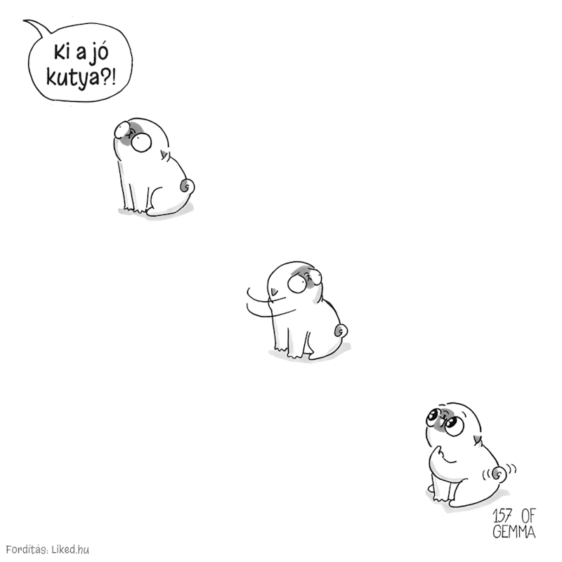 16 jopofa illusztracio ami tokeletesen bemutatja hogy milyen az elet egy mopsszal8.jpg