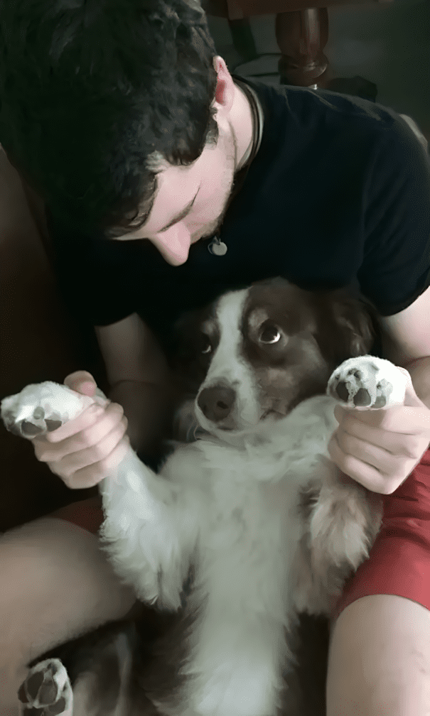 Párkapcsolat vs. házi kedvenc: és a kutya nyert 1551 17 szegyentelen allat14.jpg