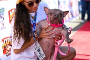 1754815796-temp-likboh_cikktorzs_xl