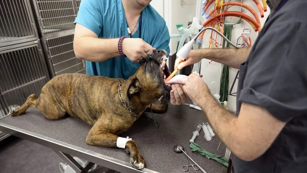 1e0a019c1efe4ff5a61fc3fb83161f9b