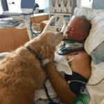 20 órán át vigyázott a kutyus magatehetetlen gazdájára, aki eltörte a nyakát – és ezzel megmentette az életét