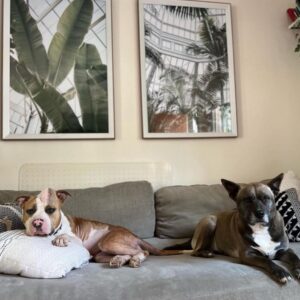 484543915_3180286645445530_8264315308120365438_n-1024x1024-1