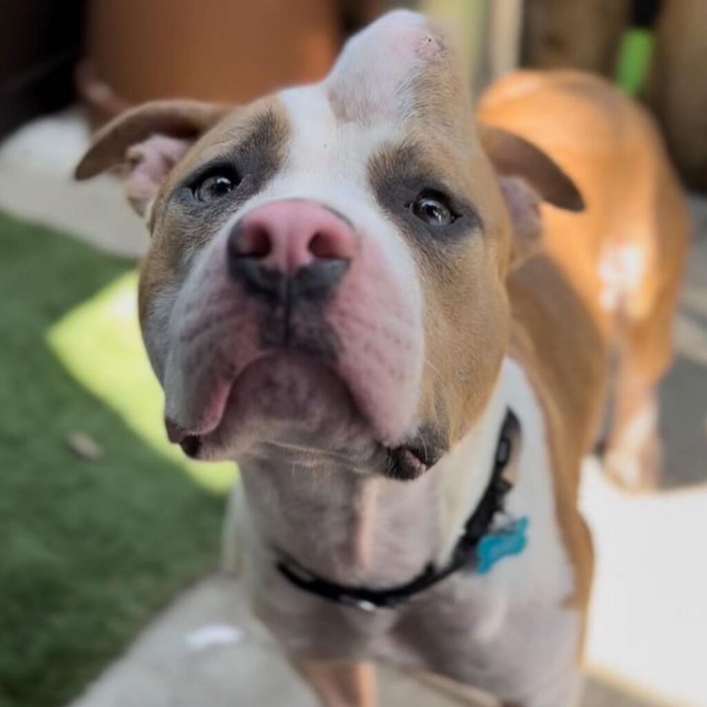 484743387 3180286965445498 6070078558370035242 n