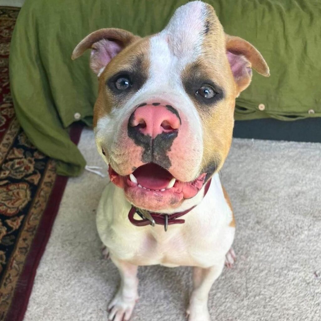 484929002 3180286942112167 7291995723015807249 n