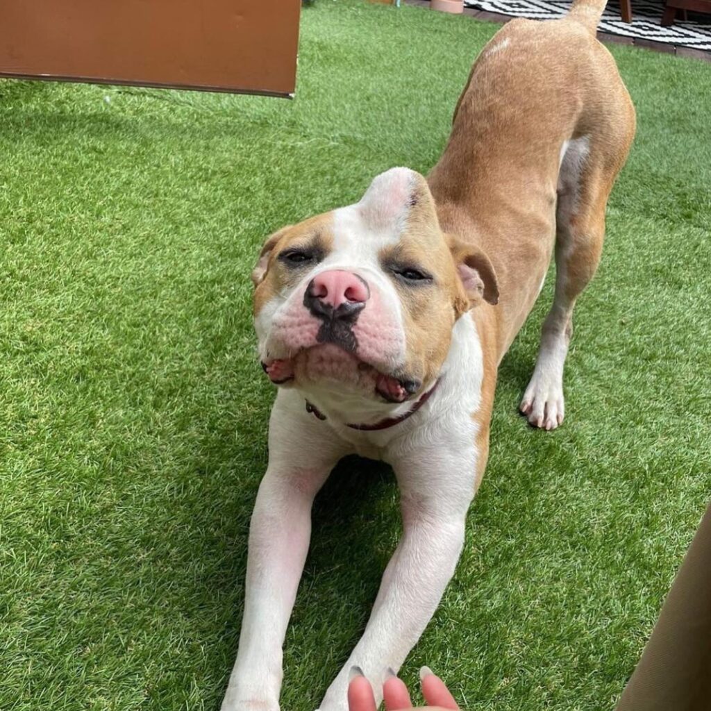 484945456 3180286842112177 5275553952490877909 n