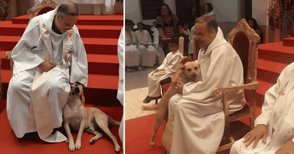 526643707_1171550331679230_357985479380115025_n-1024x538-1