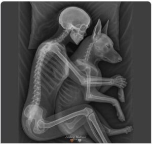 534197540_651353734657015_5500565909254095172_n-1