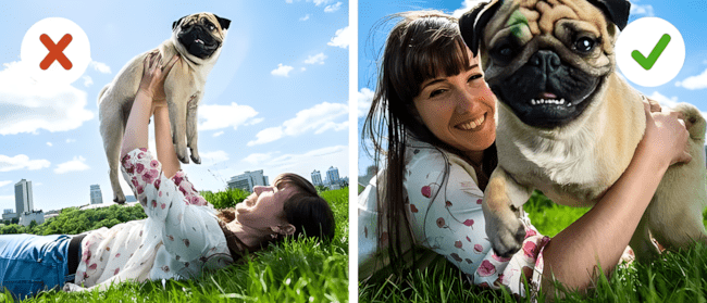 Ha szereted a kutyádat, ezt a 6 dolgot soha ne tedd vele! 1089 6 tipikus hiba amit szinte minden gazdi elkovet1.jpg