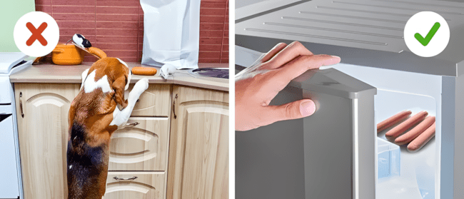 Ha szereted a kutyádat, ezt a 6 dolgot soha ne tedd vele! 1091 6 tipikus hiba amit szinte minden gazdi elkovet3.jpg