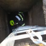 Kalandos mentések egy nap alatt: több kutyát is tűzoltók szabadítottak ki