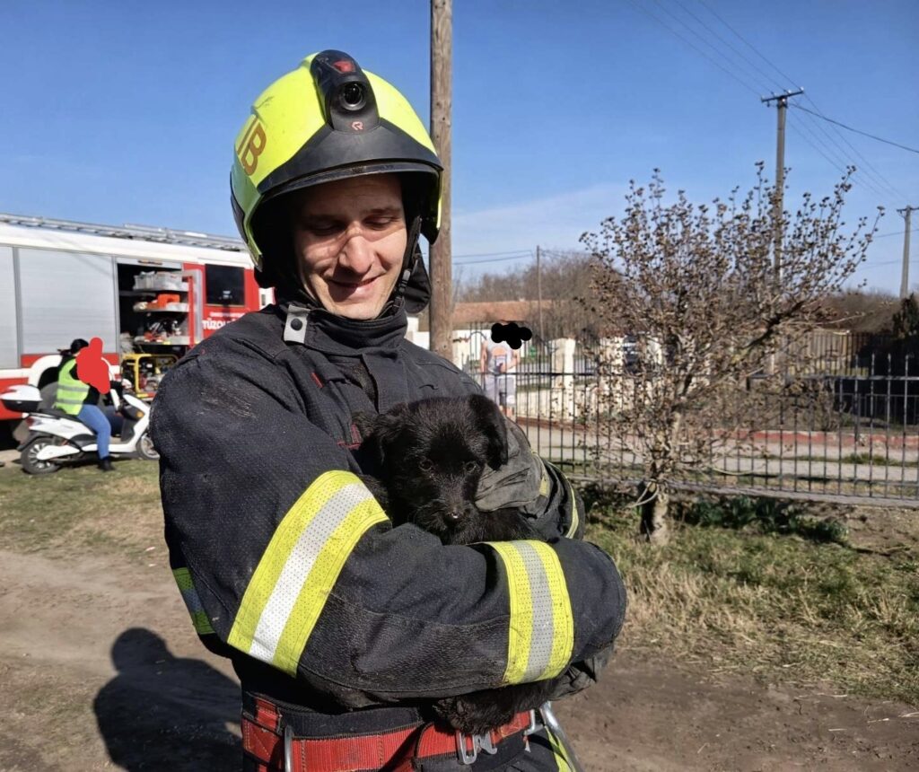 Kalandos mentések egy nap alatt: több kutyát is tűzoltók szabadítottak ki 14 650068681 1266172162278962 7437963116797813400 n