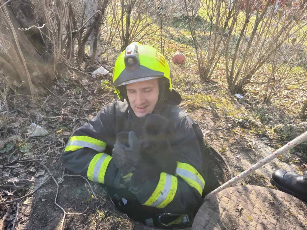 Kalandos mentések egy nap alatt: több kutyát is tűzoltók szabadítottak ki 12 650836728 1266172262278952 4930309348904050942 n