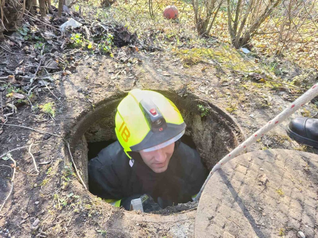 Kalandos mentések egy nap alatt: több kutyát is tűzoltók szabadítottak ki 13 650925316 1266172218945623 8920816816957343182 n