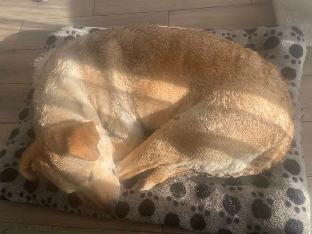 8380b01c78a442a494167dfefa19d79a