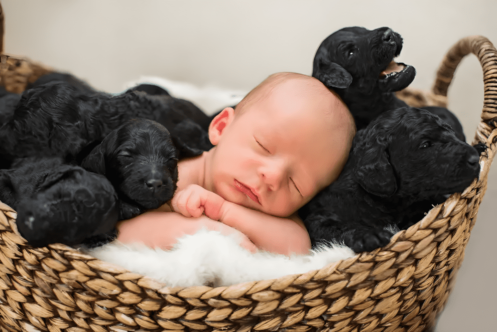 A kutyus es a gazdi egy napon adott eletet csemeteinek6.jpg