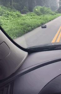 A-no-megallt-hogy-megnezze-mi-van-a-zsakban2.jpg-666x1024-1