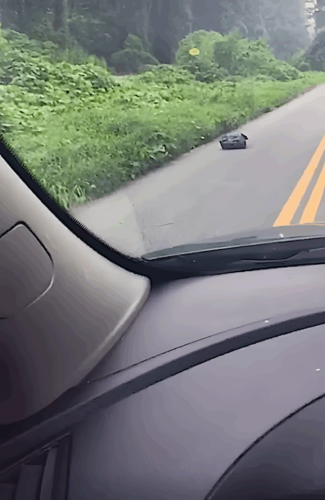 A-no-megallt-hogy-megnezze-mi-van-a-zsakban2.jpg-666x1024-1