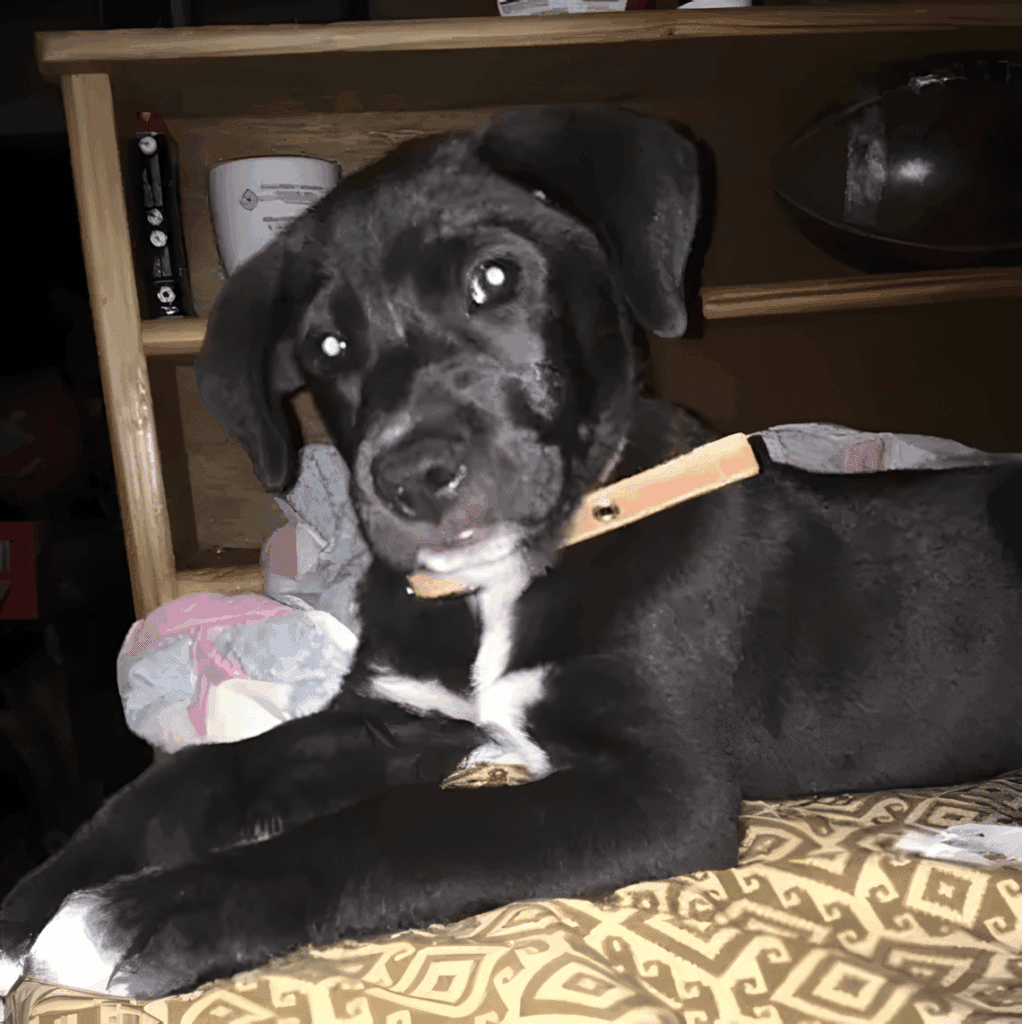 A no megallt hogy megnezze mi van a zsakban7.jpg