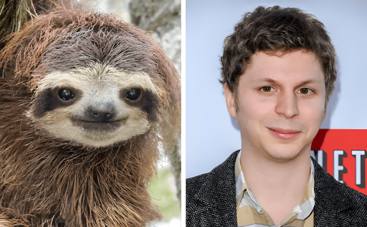 Allatok akik pontosan olyanok mint a hiressegek10.jpg