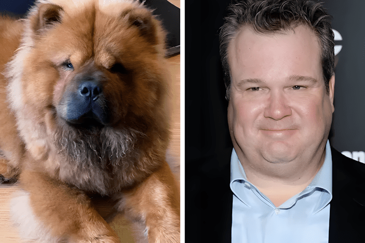 Allatok akik pontosan olyanok mint a hiressegek13.jpg