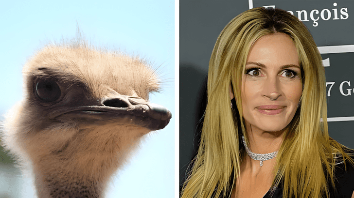 Allatok akik pontosan olyanok mint a hiressegek14.jpg