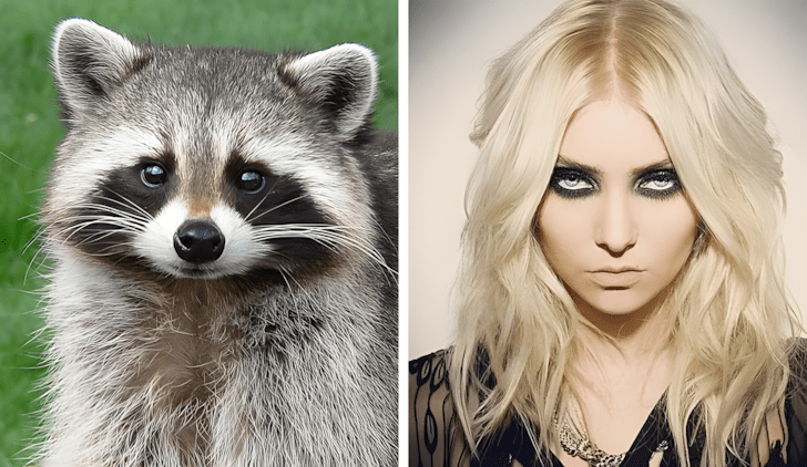 Allatok akik pontosan olyanok mint a hiressegek16.jpg