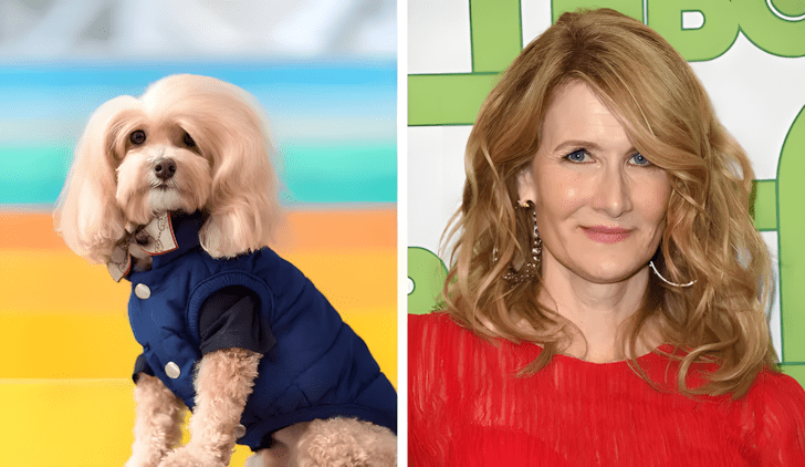 Allatok akik pontosan olyanok mint a hiressegek5.jpg