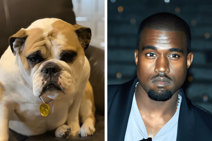 Allatok akik pontosan olyanok mint a hiressegek9.jpg