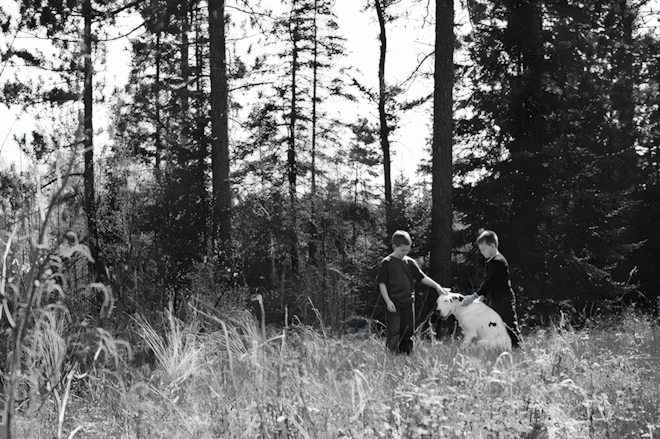 💔 Képek, amik összetörik a szíved: kutyusok és gazdáik utolsó pillanatai 862 Amikor bucsuzni kell13.jpg