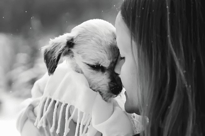 💔 Képek, amik összetörik a szíved: kutyusok és gazdáik utolsó pillanatai 864 Amikor bucsuzni kell15.jpg
