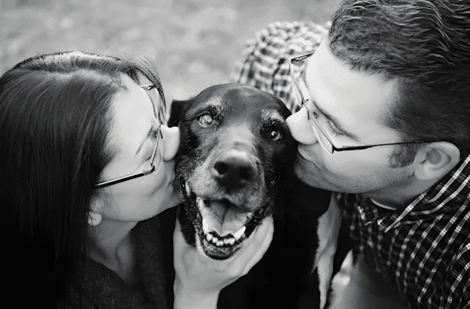 💔 Képek, amik összetörik a szíved: kutyusok és gazdáik utolsó pillanatai 854 Amikor bucsuzni kell5.jpg