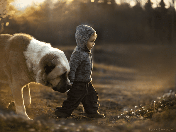 Anyuka varazslatos kepeket keszitett gyermekeirol es az allatokrol20