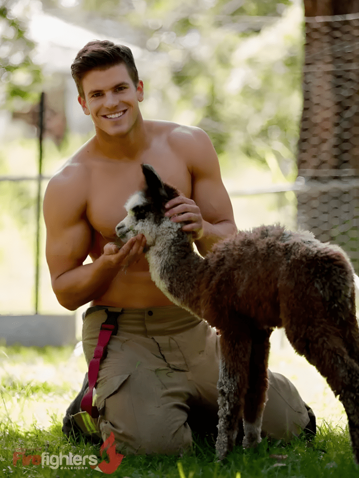 Ausztral tuzoltok pozoltak mentett allatokkal2.jpg