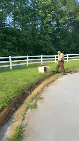 Anyakutya és kölykei megmenekültek az út széléről – megható történet 1383 Az Earl Hanners helyettes 40 fok volt Atlanta ban Gruziaban amikor felhivott hogy talalt egy kolyokkutyat az ut szelen egy doboz mellett.jpg