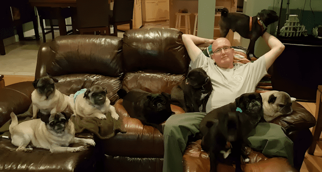 Anyakutya és kölykei megmenekültek az út széléről – megható történet 1388 Bridge nem az elso olyan kutya akit Hanners megmentett tamogatja a kutyakat egy helyi mentocsoportnak a Hounds in Pounds nak es jelenleg nyolc mentett kutyaja van.jpg