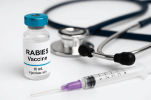 ChatGPT-Image-2025.-aug.-10.-08_59_43-1-1024x683-1