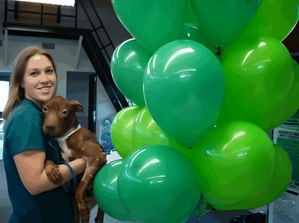 Hihetetlen felepulesen ment keresztul ez a kutyus13