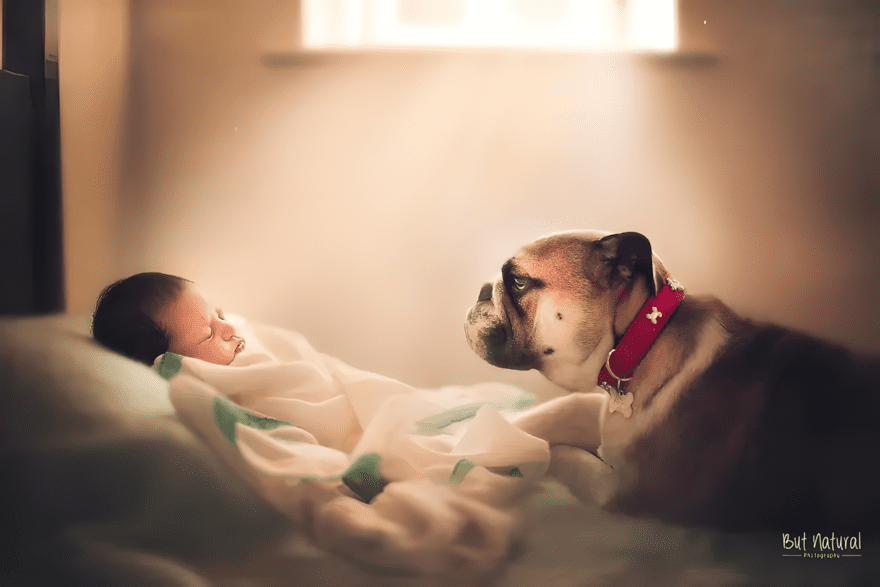 Ennél aranyosabbat ma már nem látsz: így alszanak együtt a babák és kedvenceik 🍼🐾 1051 Igy alszanak egyutt a csecsemok es kedvenceik1.jpg