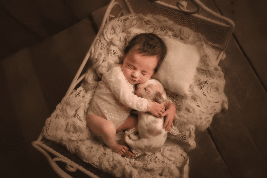 Ennél aranyosabbat ma már nem látsz: így alszanak együtt a babák és kedvenceik 🍼🐾 1056 Igy alszanak egyutt a csecsemok es kedvenceik6.jpg