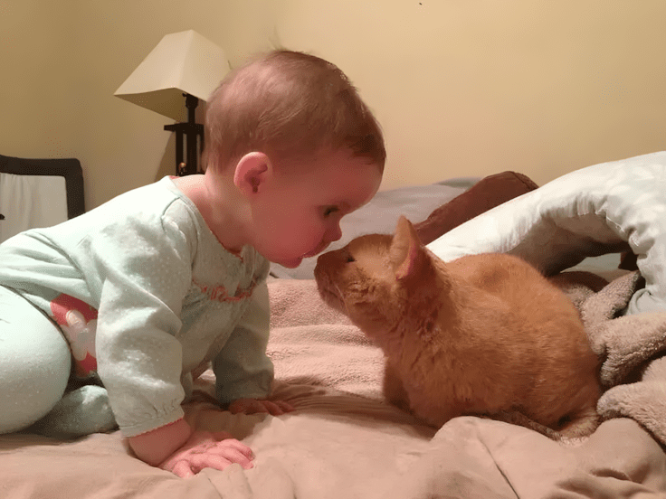 Életre szóló barátság kezdete: babák, akik kutyával nőnek fel ❤ 1251 Kisbabak es kedvencek2.jpg