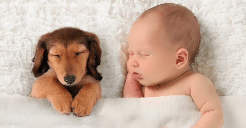 Életre szóló barátság kezdete: babák, akik kutyával nőnek fel ❤ 1253 Kisbabak es kedvencek4.jpg
