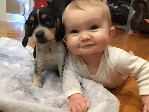 Életre szóló barátság kezdete: babák, akik kutyával nőnek fel ❤ 1254 Kisbabak es kedvencek5.jpg