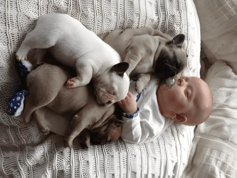 Életre szóló barátság kezdete: babák, akik kutyával nőnek fel ❤ 1255 Kisbabak es kedvencek6.jpg