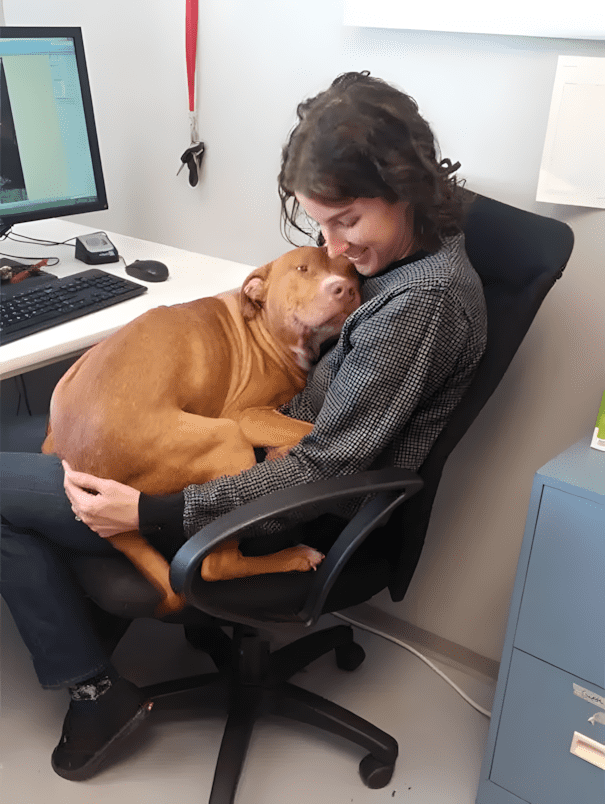 Ezek a menhelyi fotók még a legkeményebb szívet is meglágyítják! 😍 1321 Menhelyek dolgozoi osztottak meg a legcukibb allatos fotoikat11.jpg